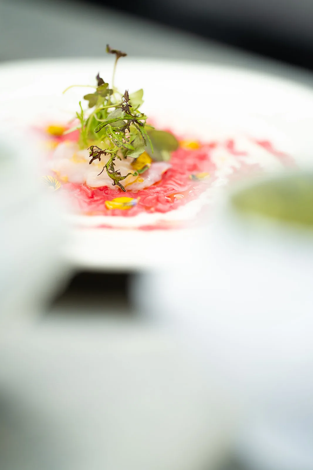 Primo piano di un piatto raffinato con carpaccio e germogli freschi
