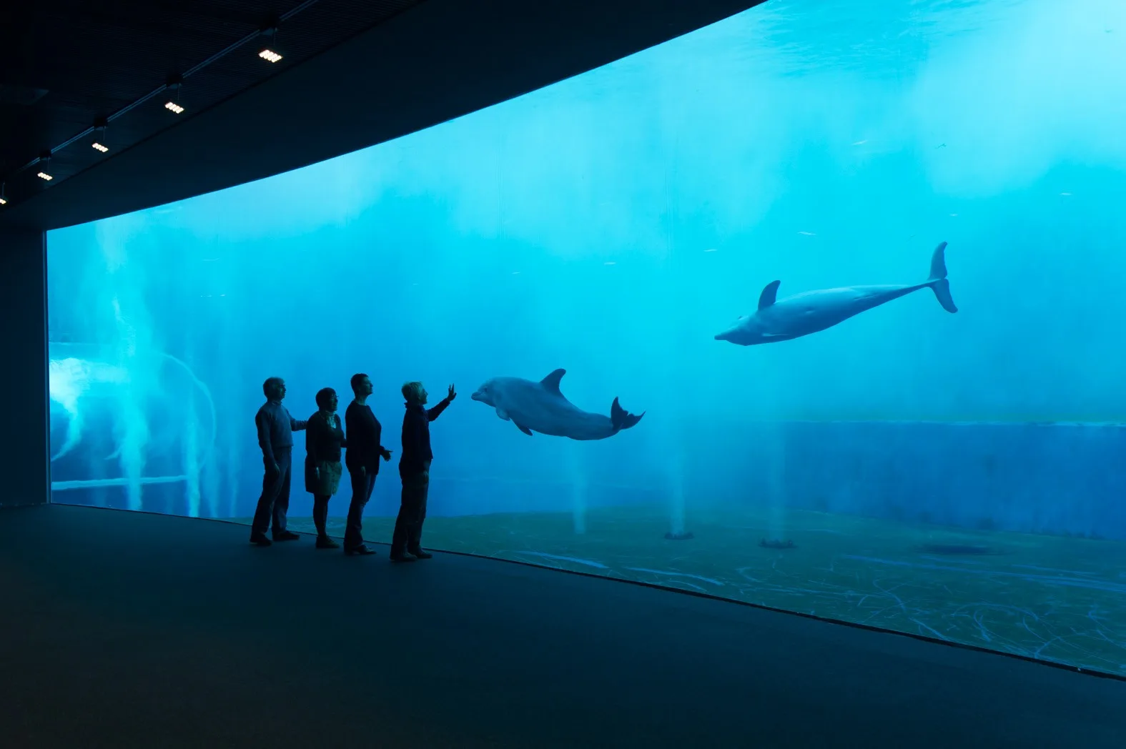Acquario di Genova, Genova
