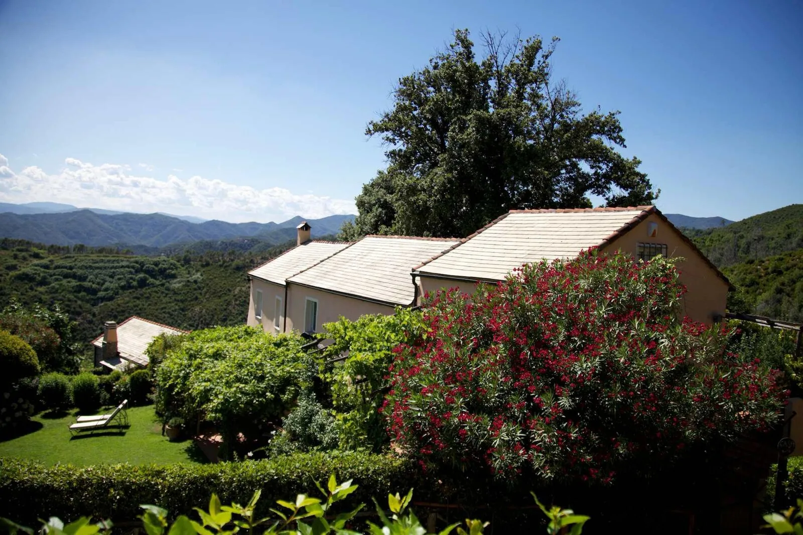 Ganci Farm, Celle Ligure