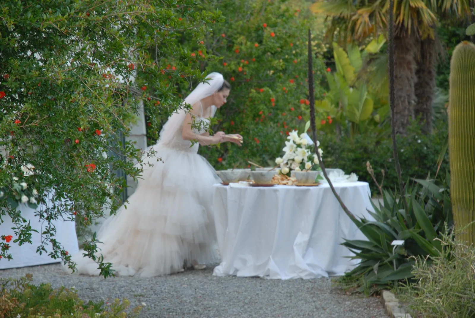 Villa Hanbury, Latte - Ventimiglia
