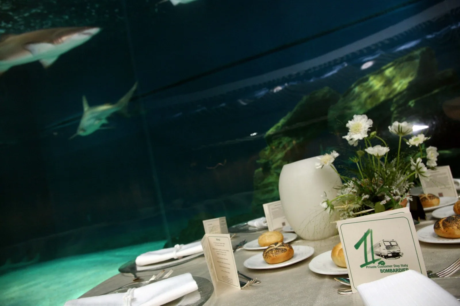 Tavolo apparecchiato davanti alla grande vasca dell'acquario