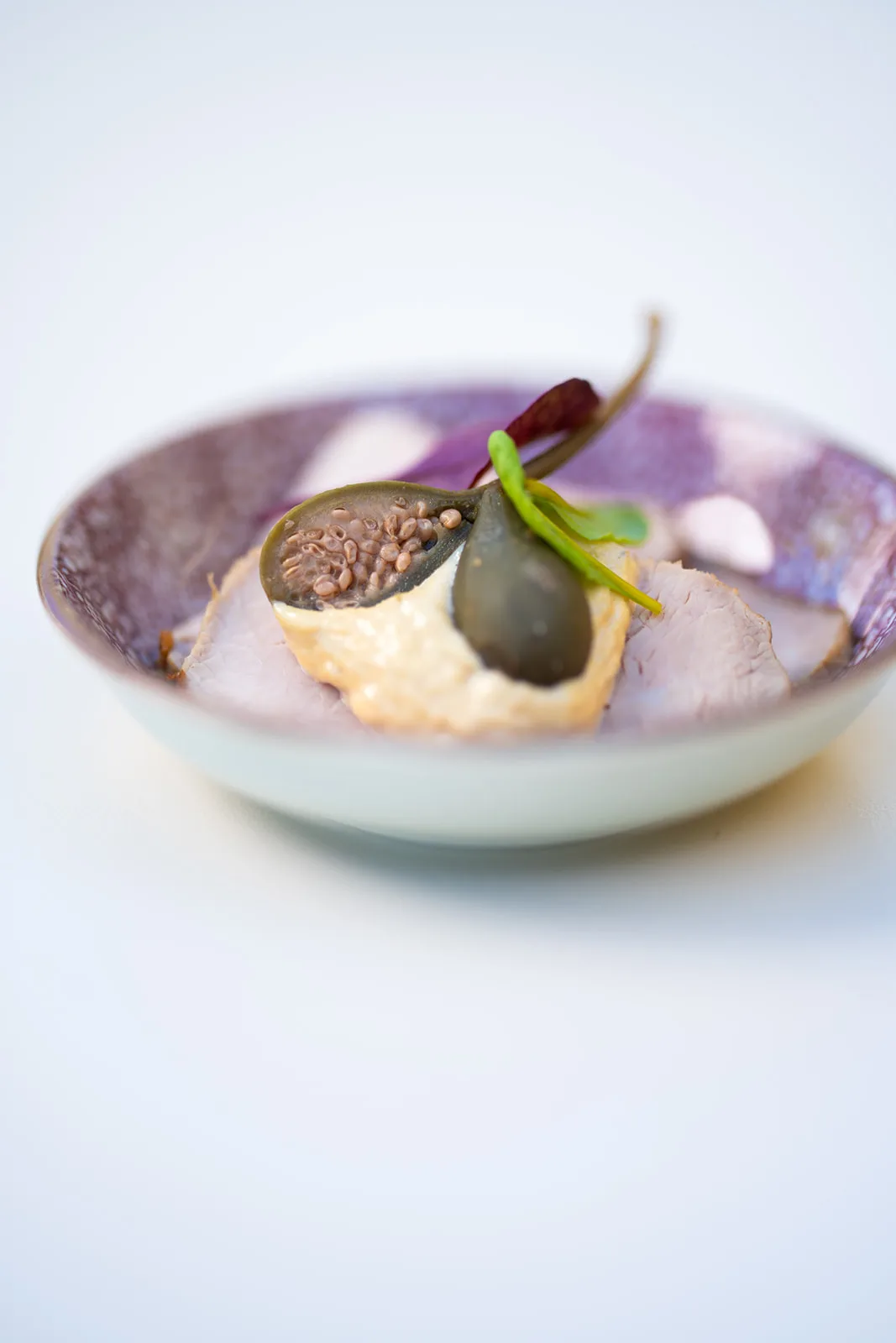 Crostino con arrosto, fico candito e germogli freschi