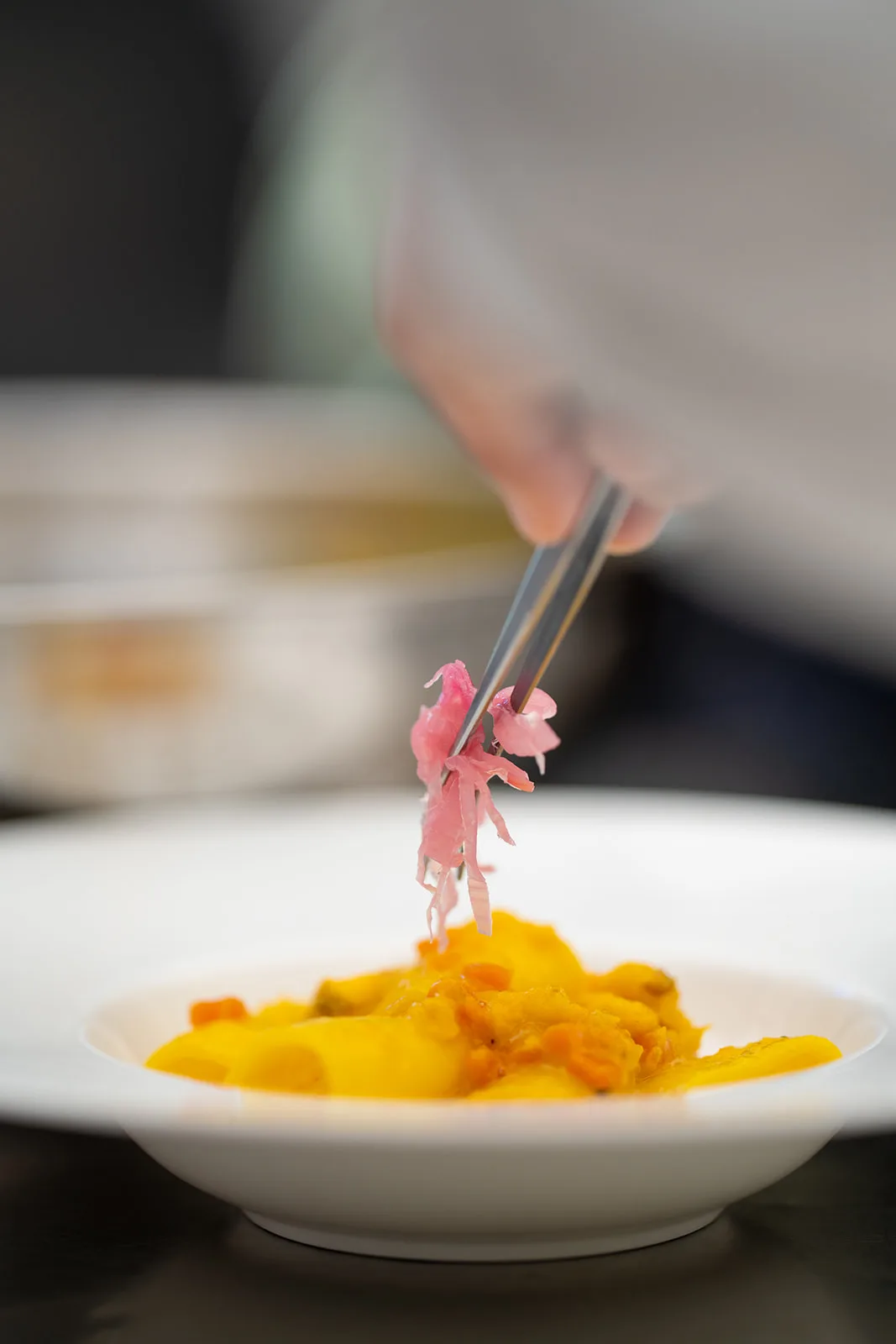 Zenzero rosa adagiato con le pinzette su una vellutata di zucca