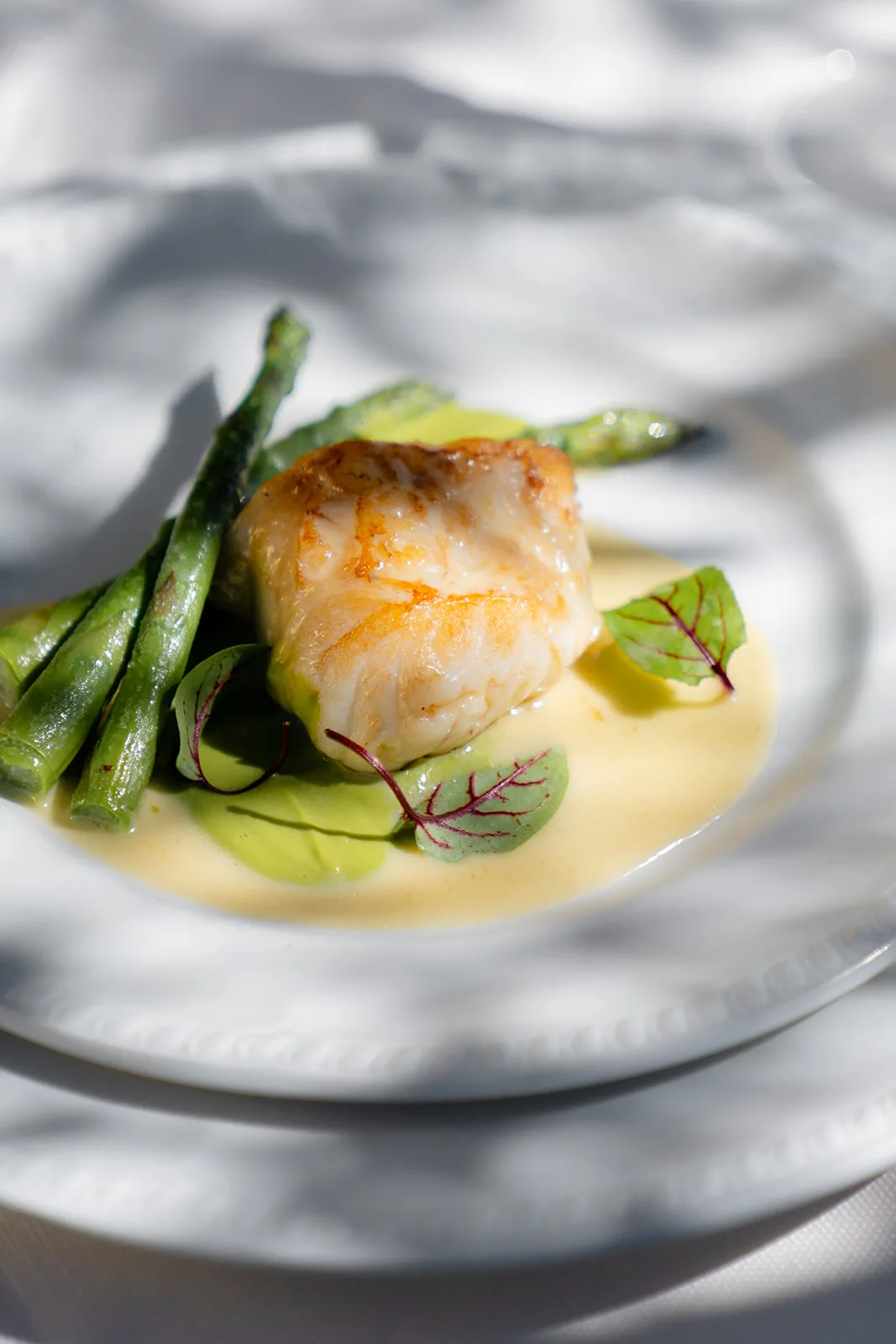 Filetto di pesce dorato su crema verde con asparagi croccanti