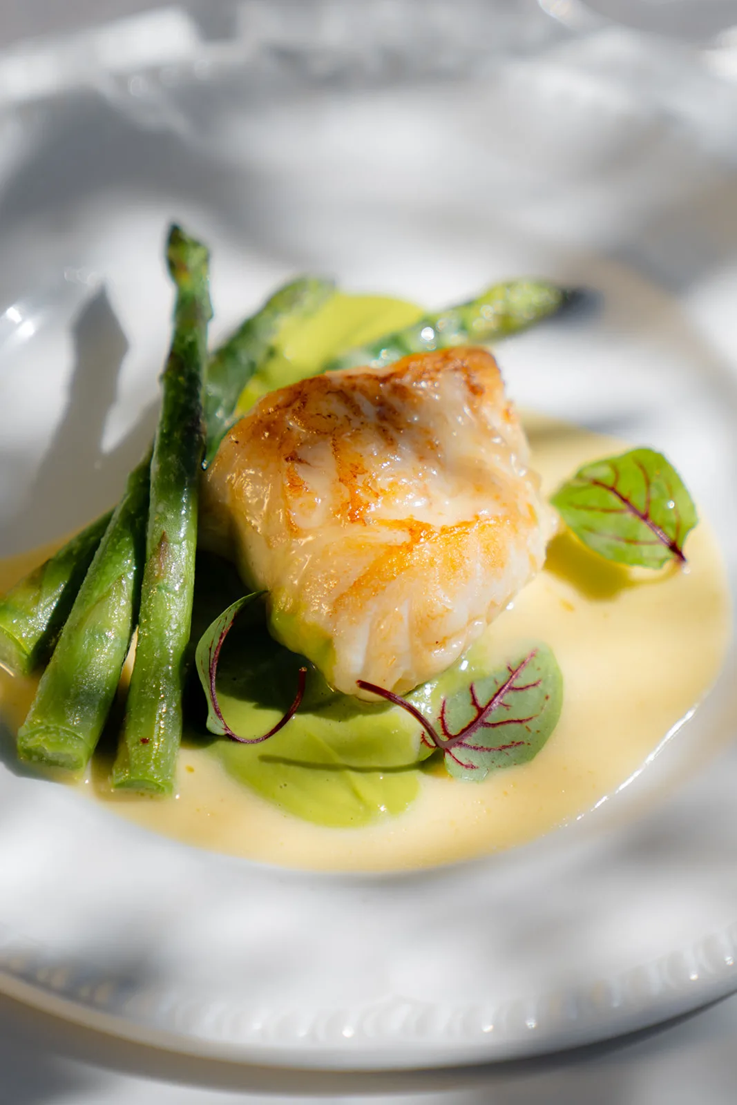 Pesce scottato servito con asparagi e salsa cremosa al limone