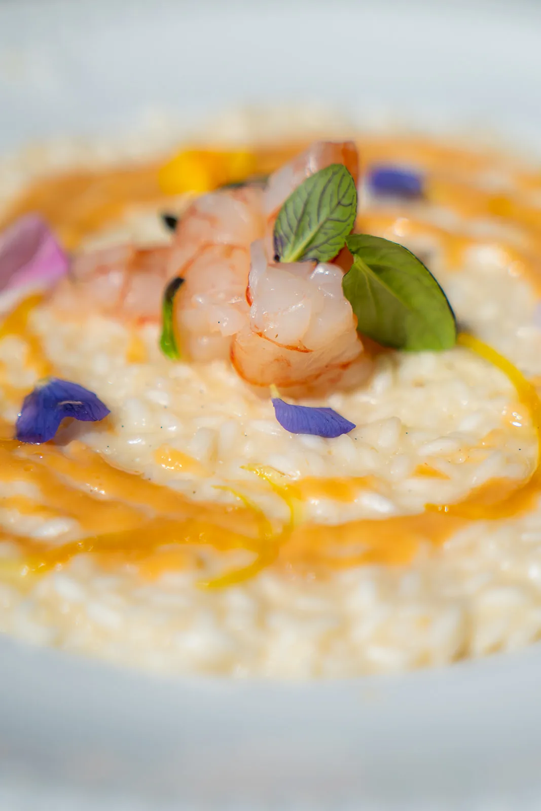 Risotto allo zafferano con gamberi e fiori eduli in primo piano