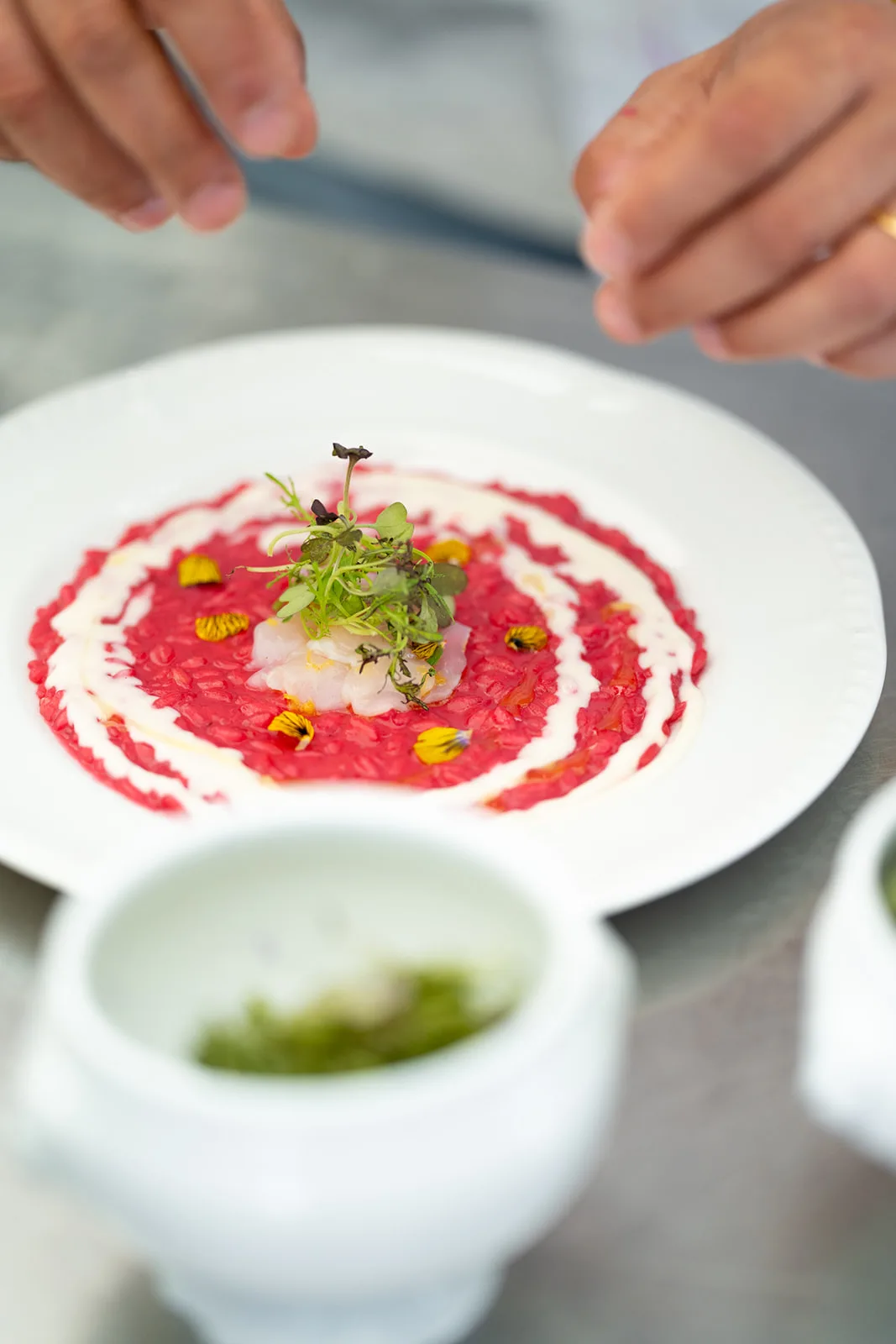 lo chef rifinisce un risotto alla barbabietola con pesce crudo e fiori eduli